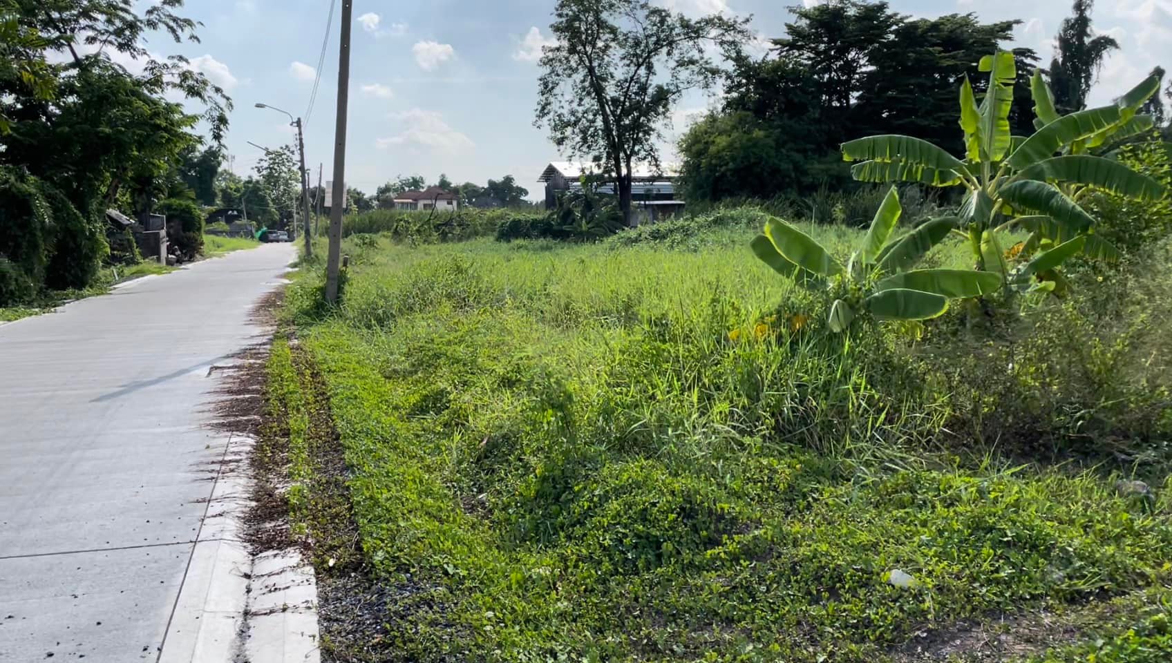 ‼️ขายที่ดินริมน้ำ ติดบึงเมืองทอง แจ้งวัฒนะ 209 ตรว.